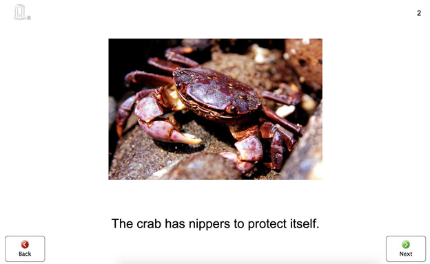 Screenshot from Tar Heel Reader showing a picture of a crab above text reading "The crab has nippers to protect itself."